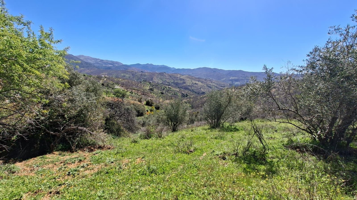 Property main view 15