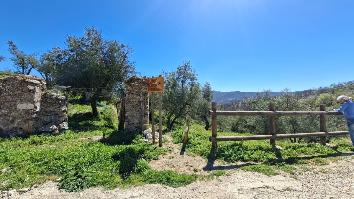 Property main view 17