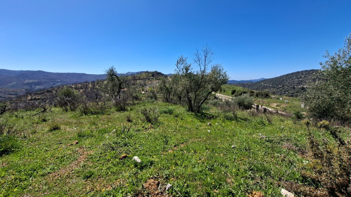 Property main view 21