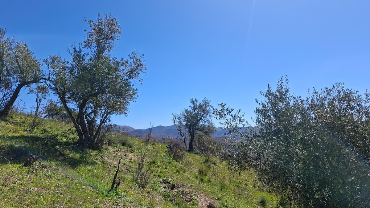 Property main view 22