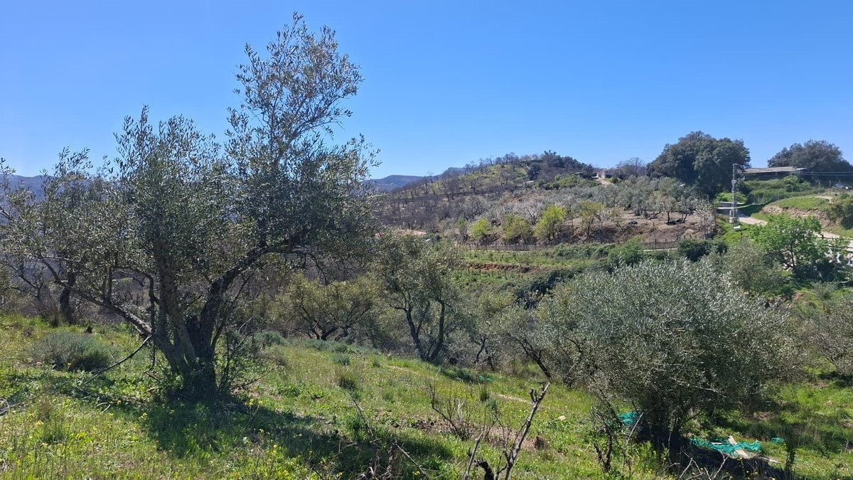 Property main view 23