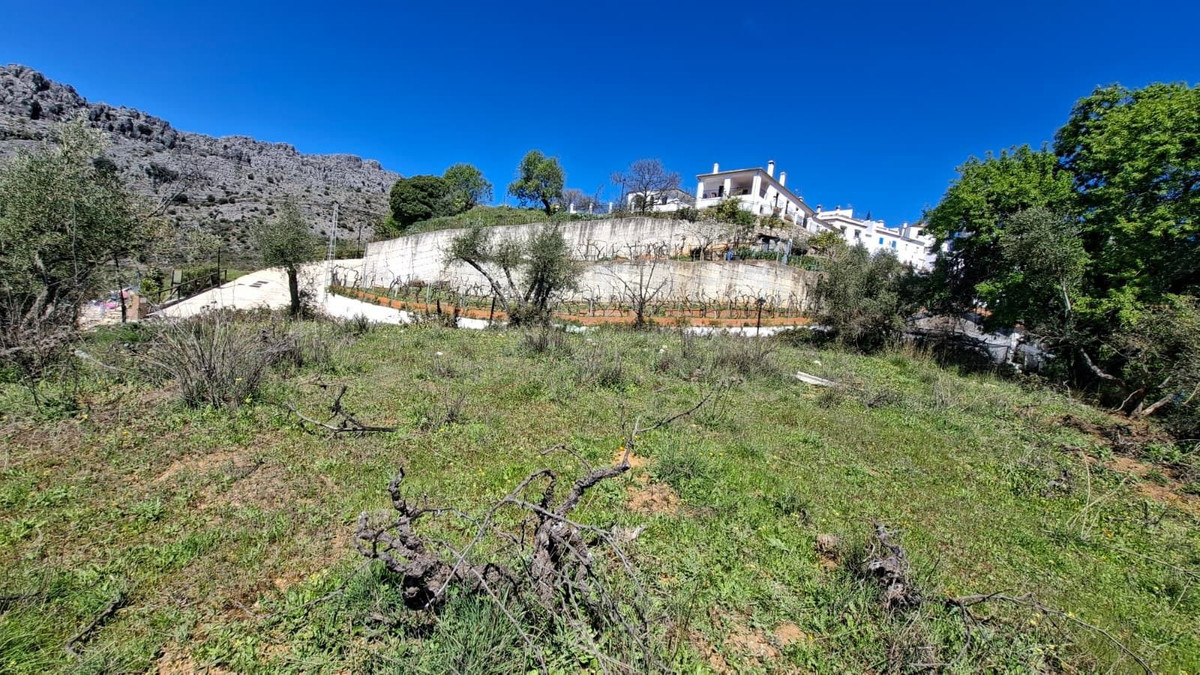 Property main view 25