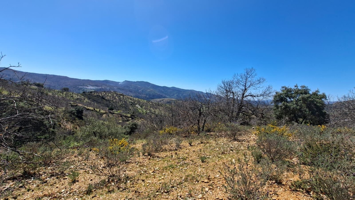 Property main view 26