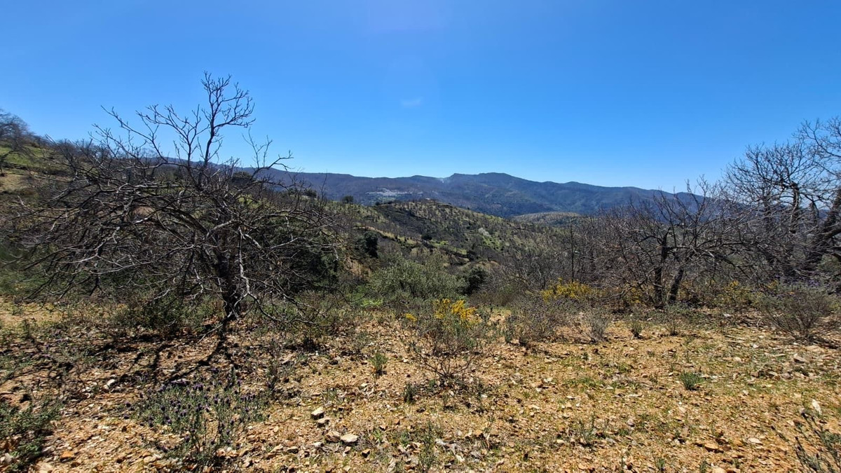 Property main view 28