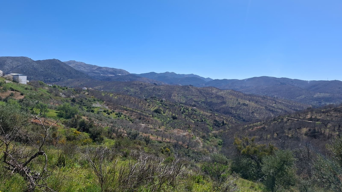 Property main view 29