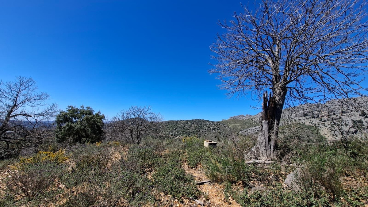 Property main view 30