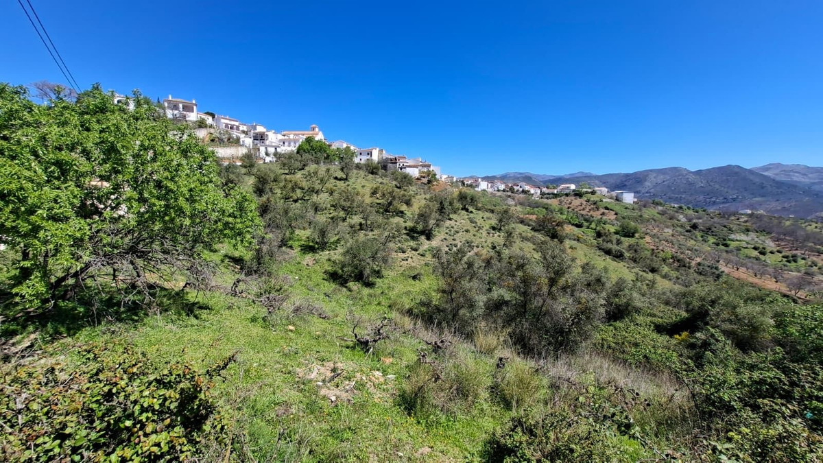 Property main view 31