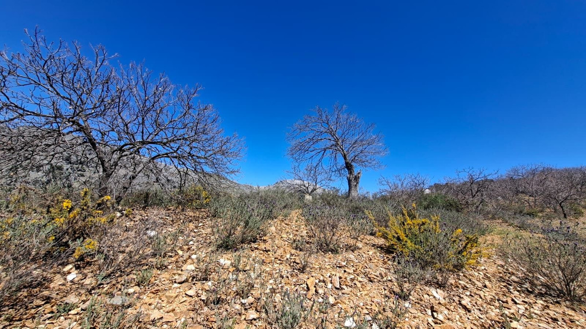 Property main view 32