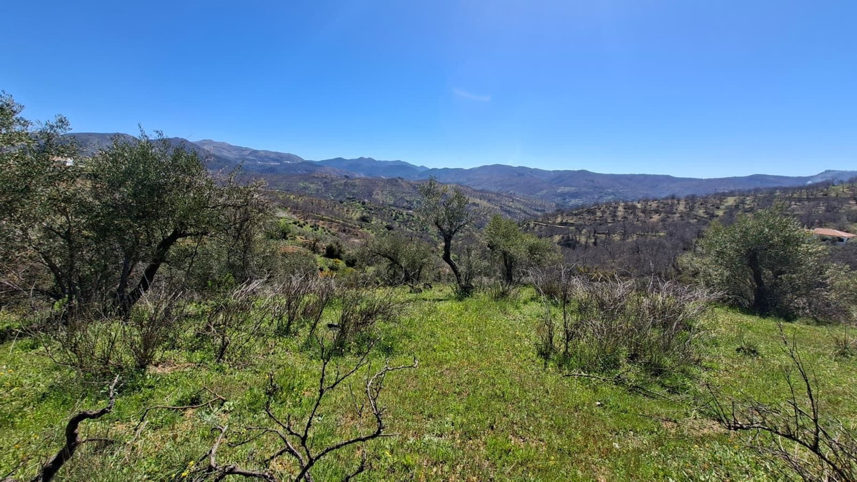 Property main view 33