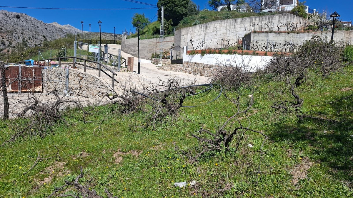 Property main view 34