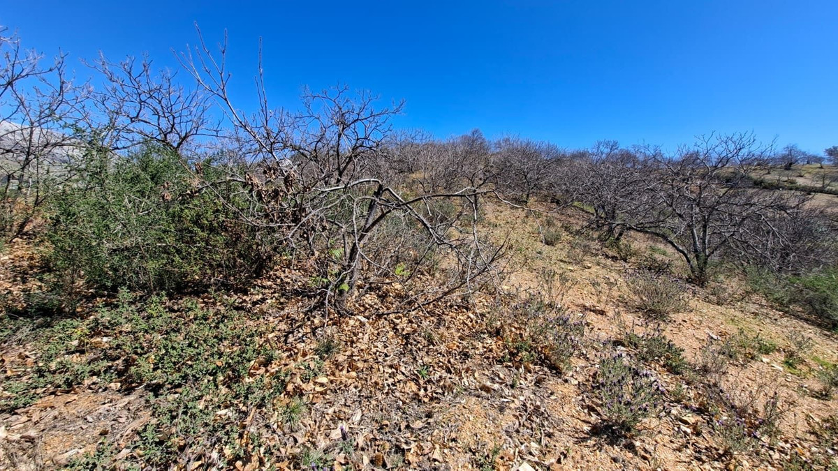 Property main view 35