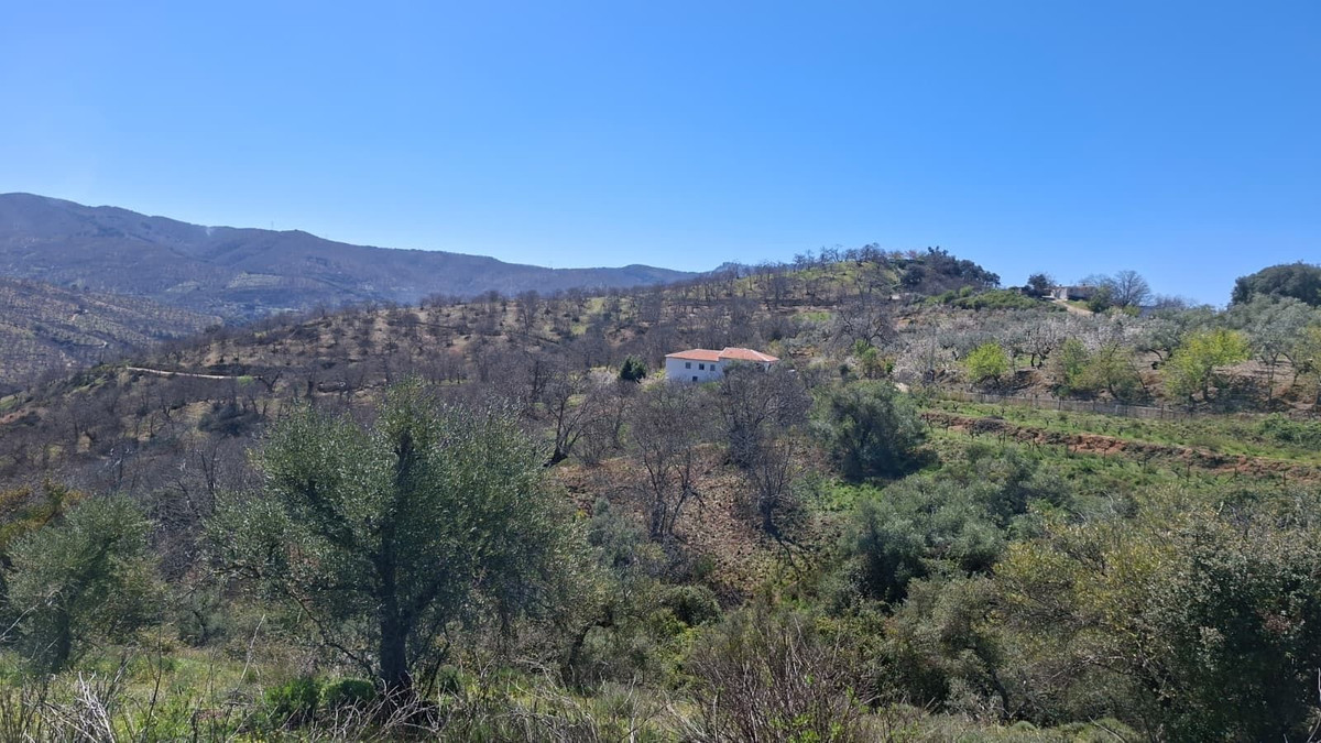 Property main view 36