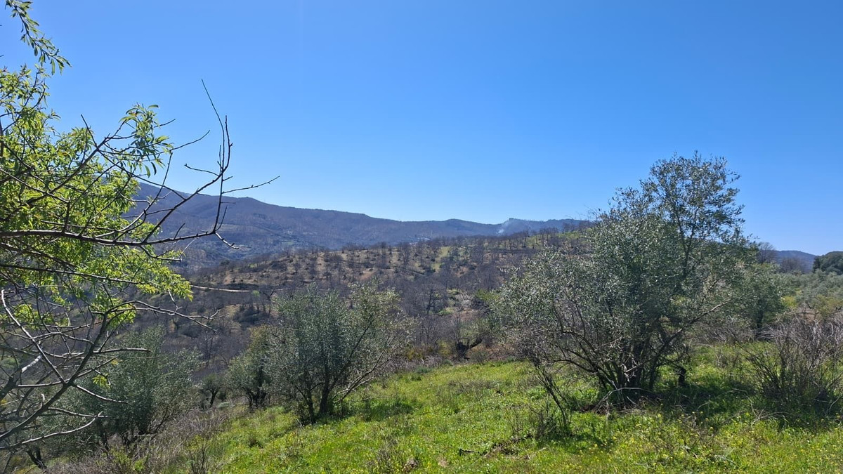 Property main view 37