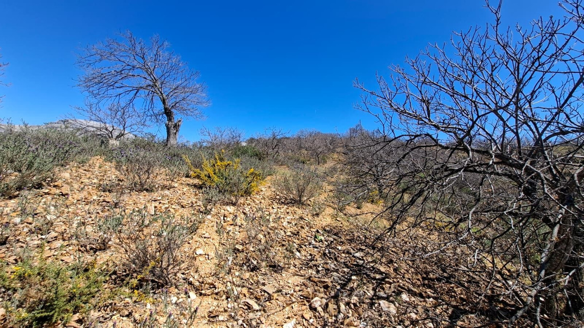 Property main view 38