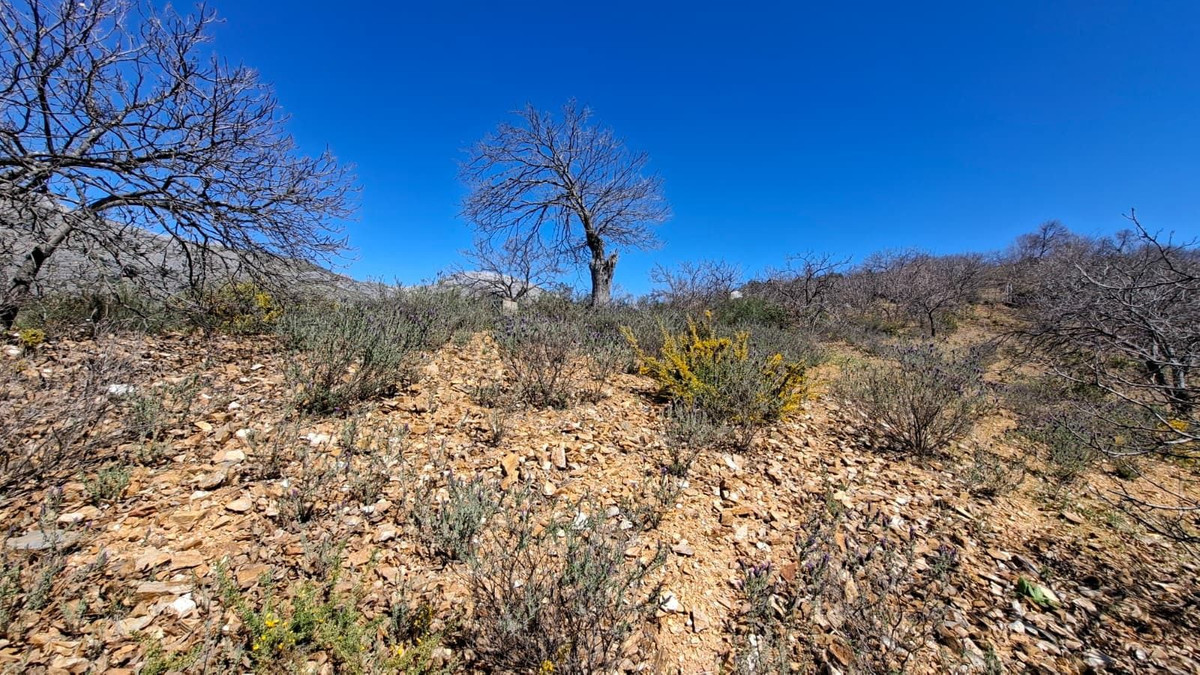 Property main view 39