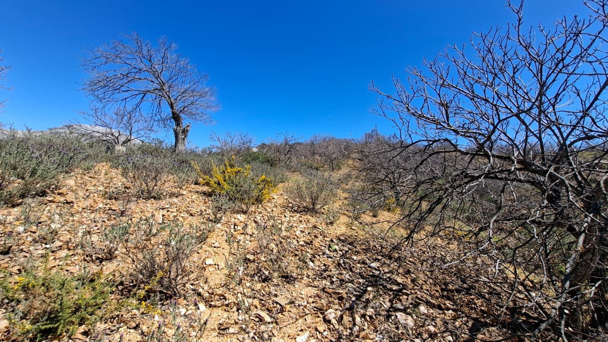 Property main view 40