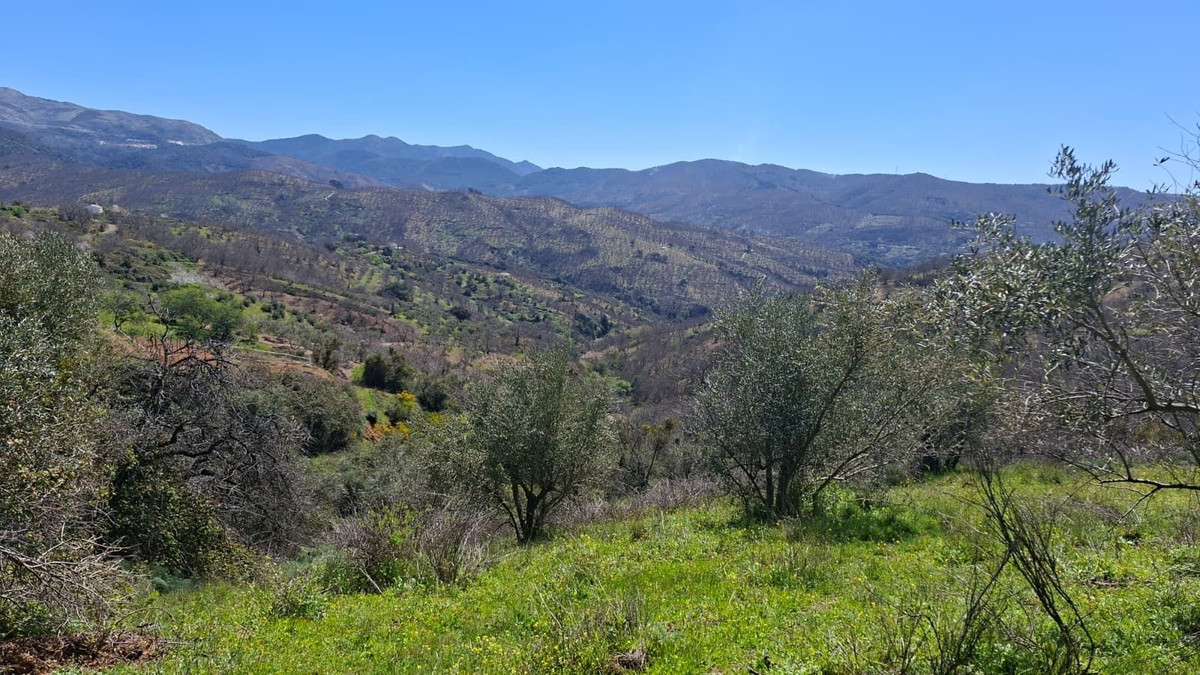 Property main view 41