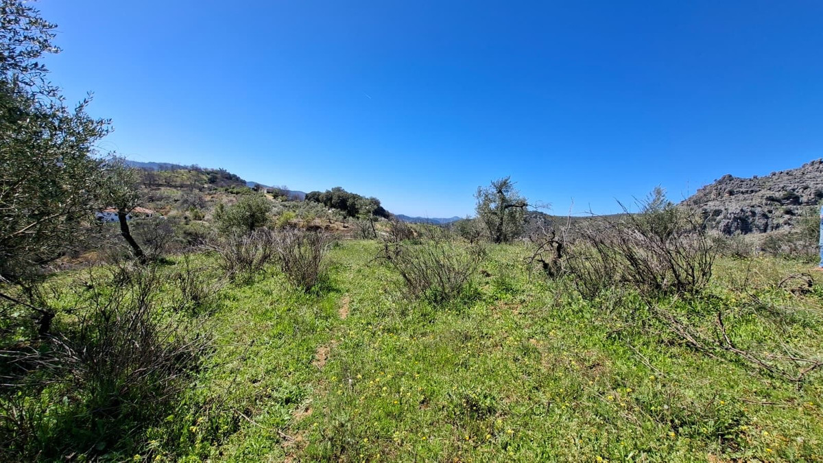 Property main view 42