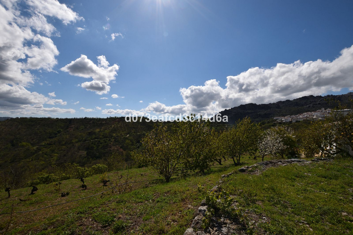 Property main view 15