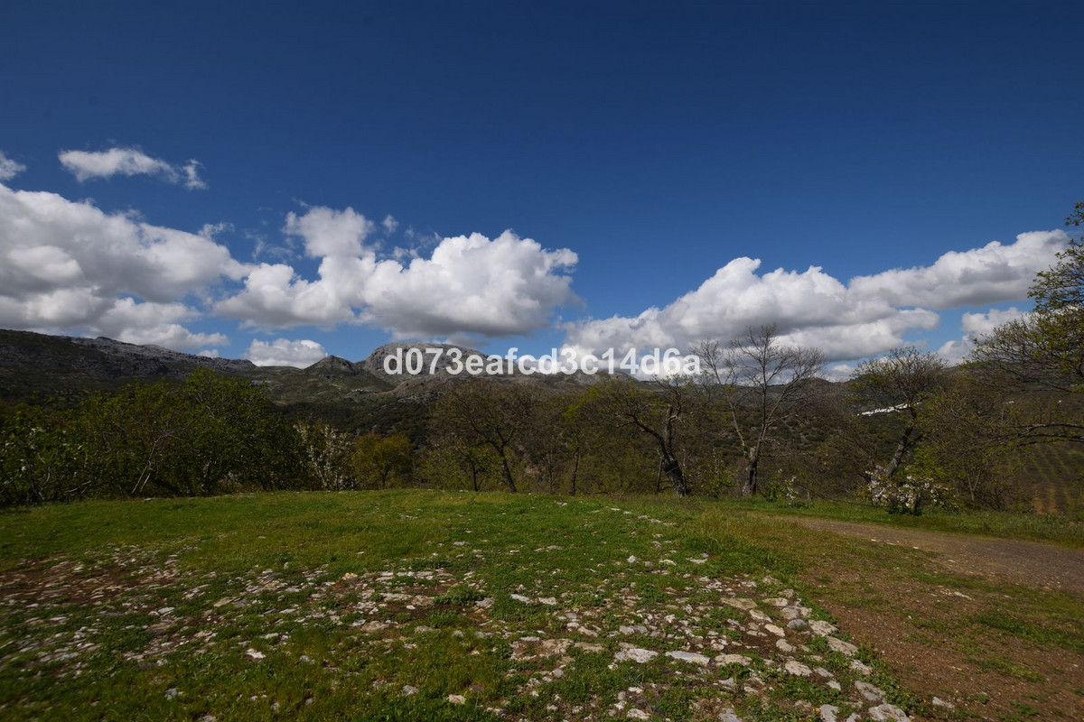 Property main view 16