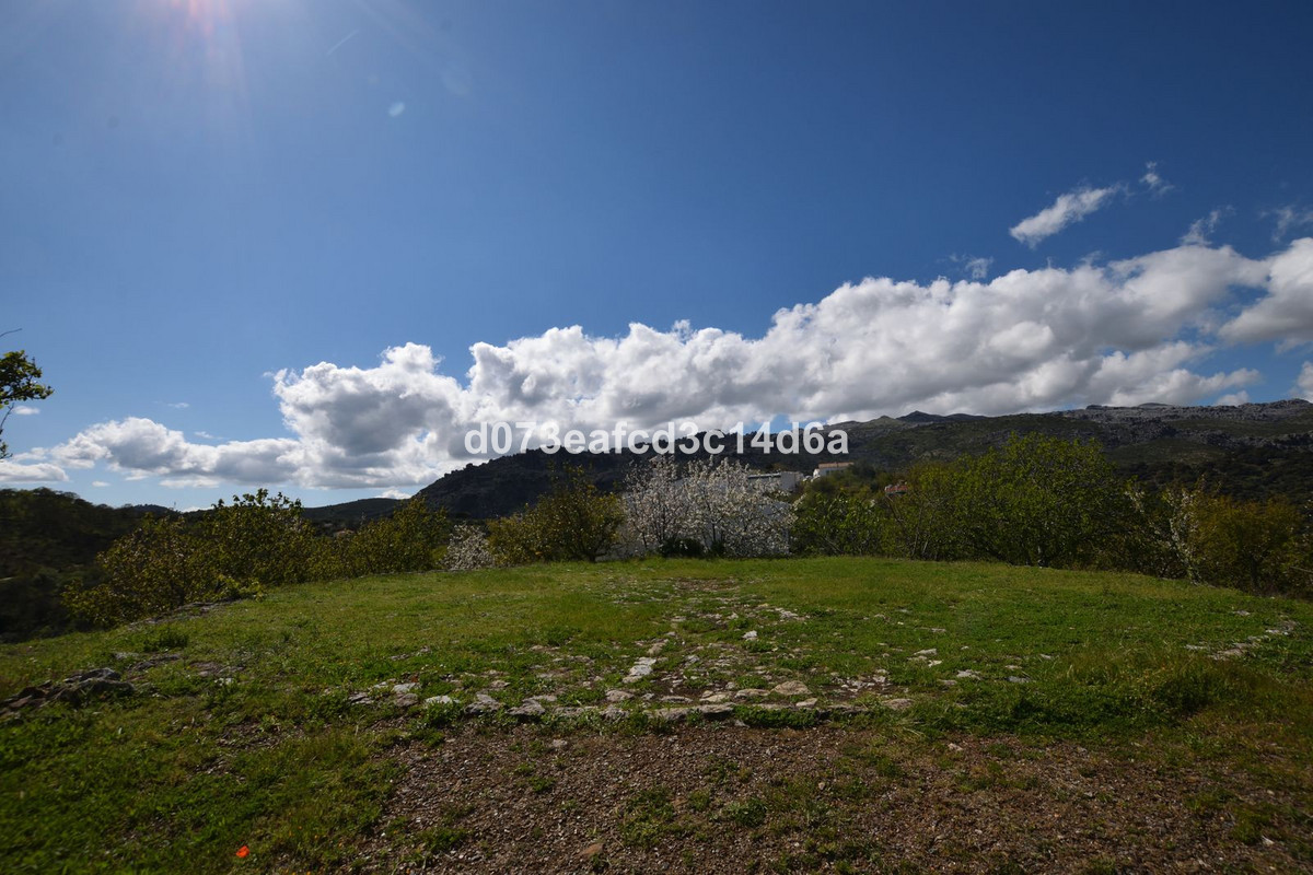 Property main view 17
