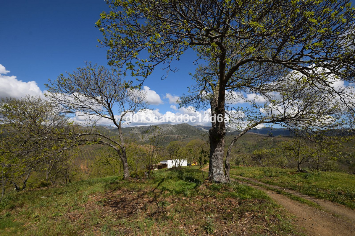 Property main view 18