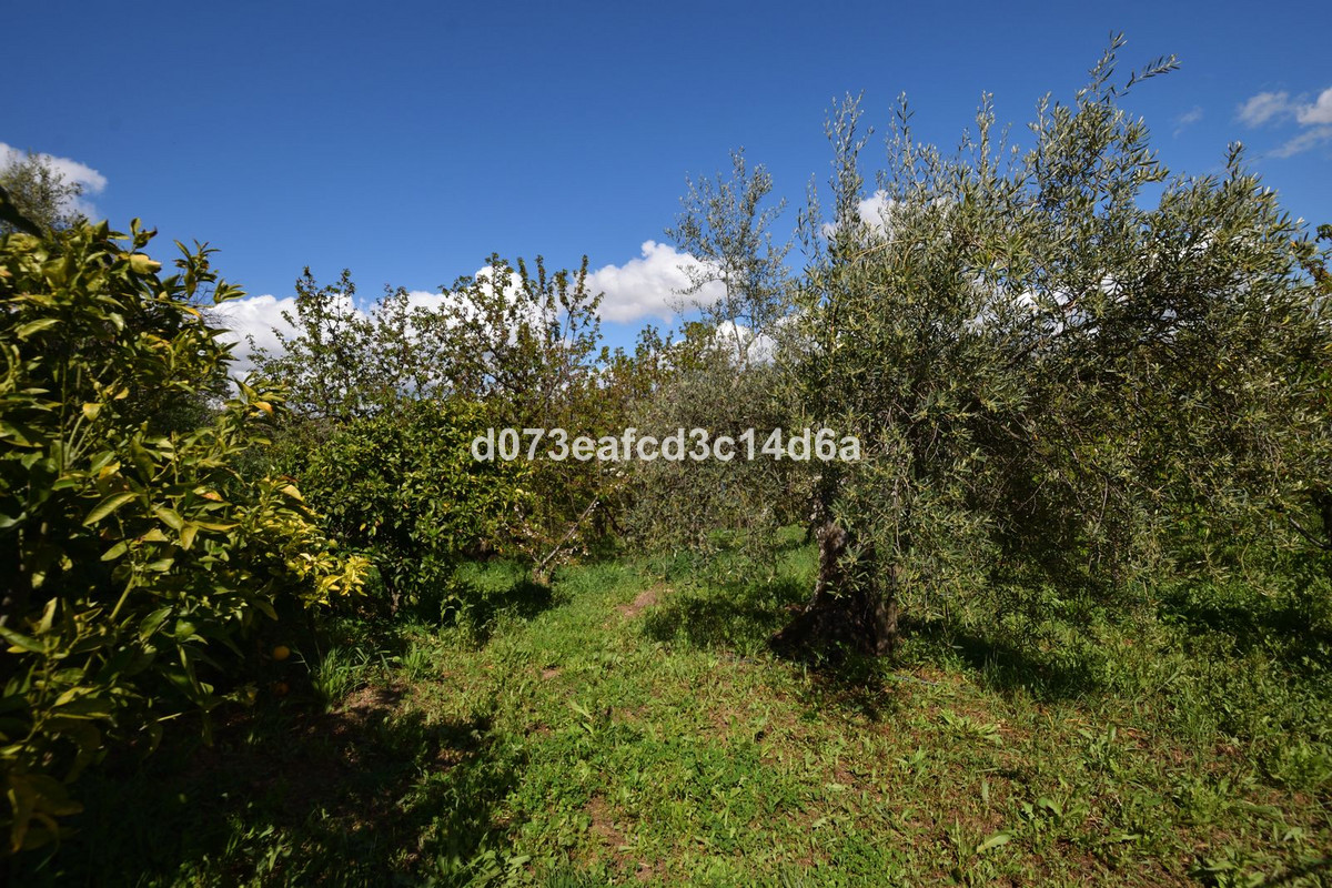 Property main view 2