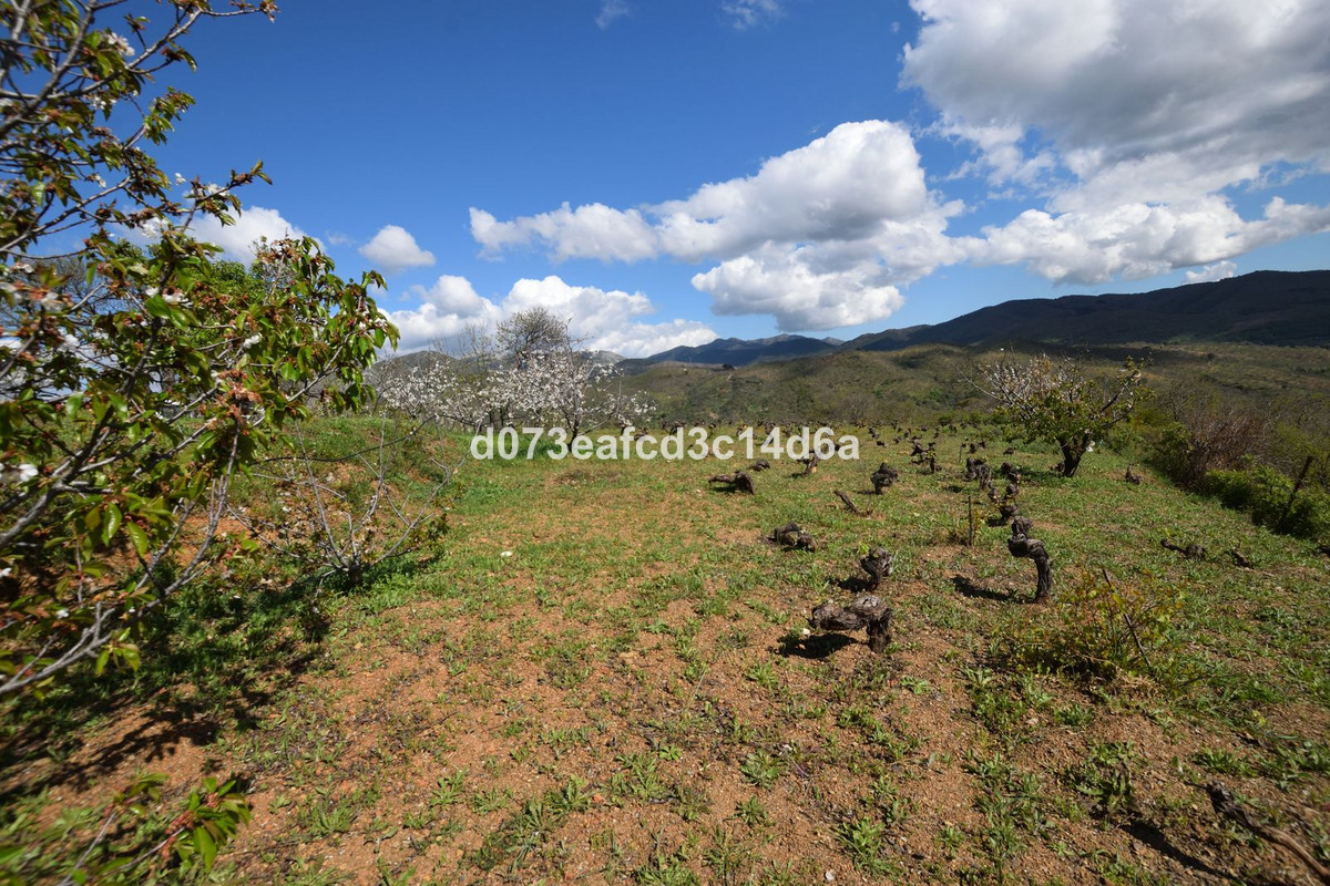 Property main view 20