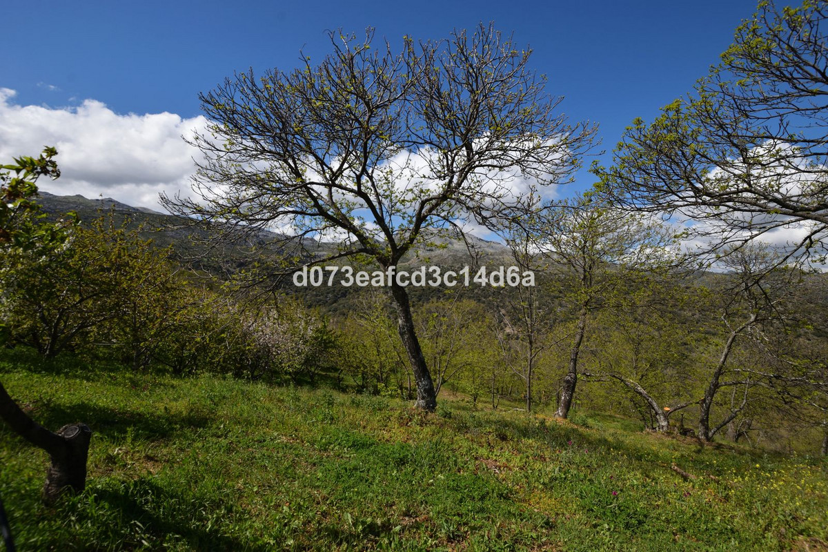 Property main view 23