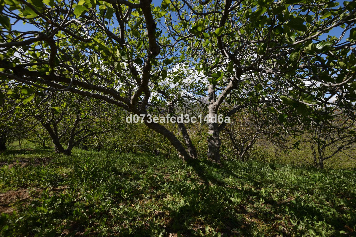 Property main view 24