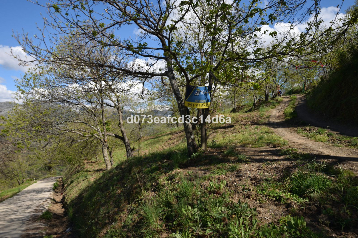 Property main view 25