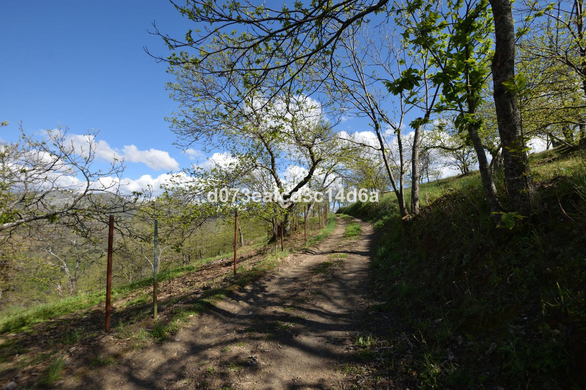 Property main view 27