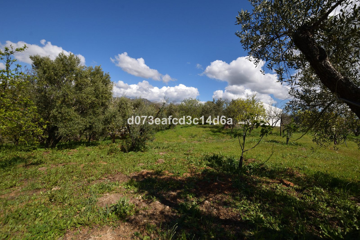 Property main view 3
