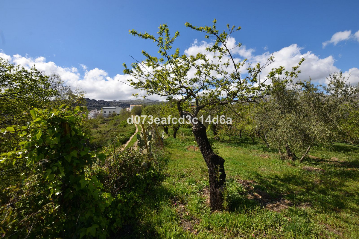 Property main view 4