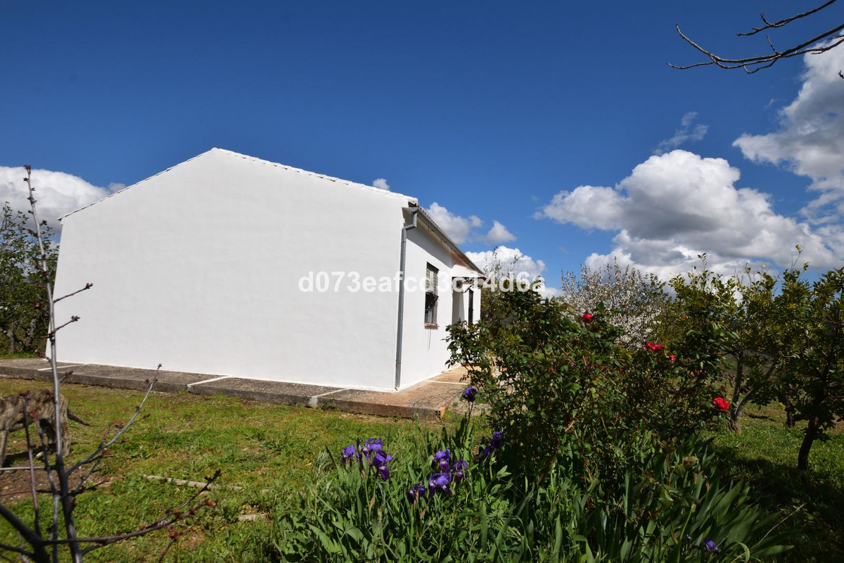 Property main view 7