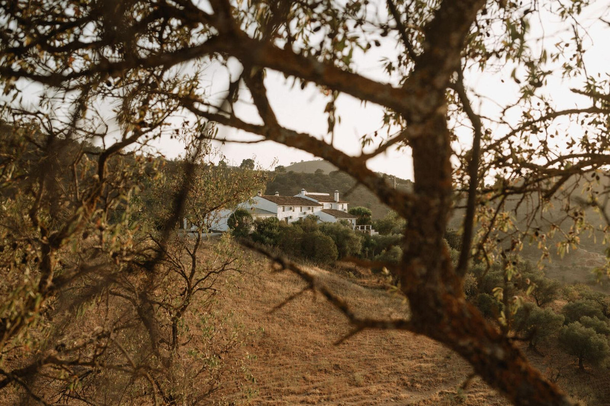 Property main view 46
