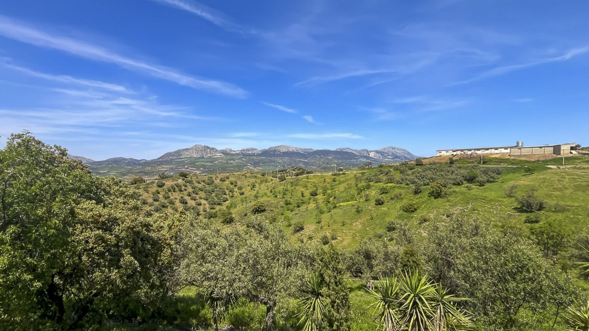 Property main view 63