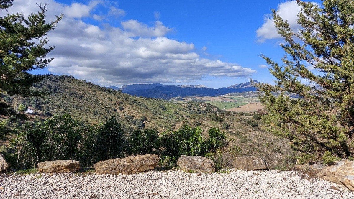 Property main view 64