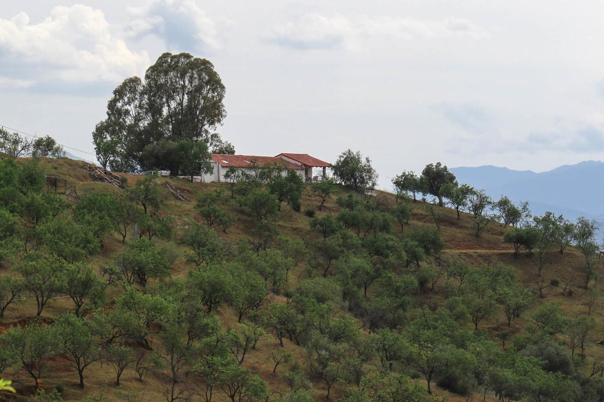 Huis te koop in Casarabonela | 3 slaapkamers H3390892