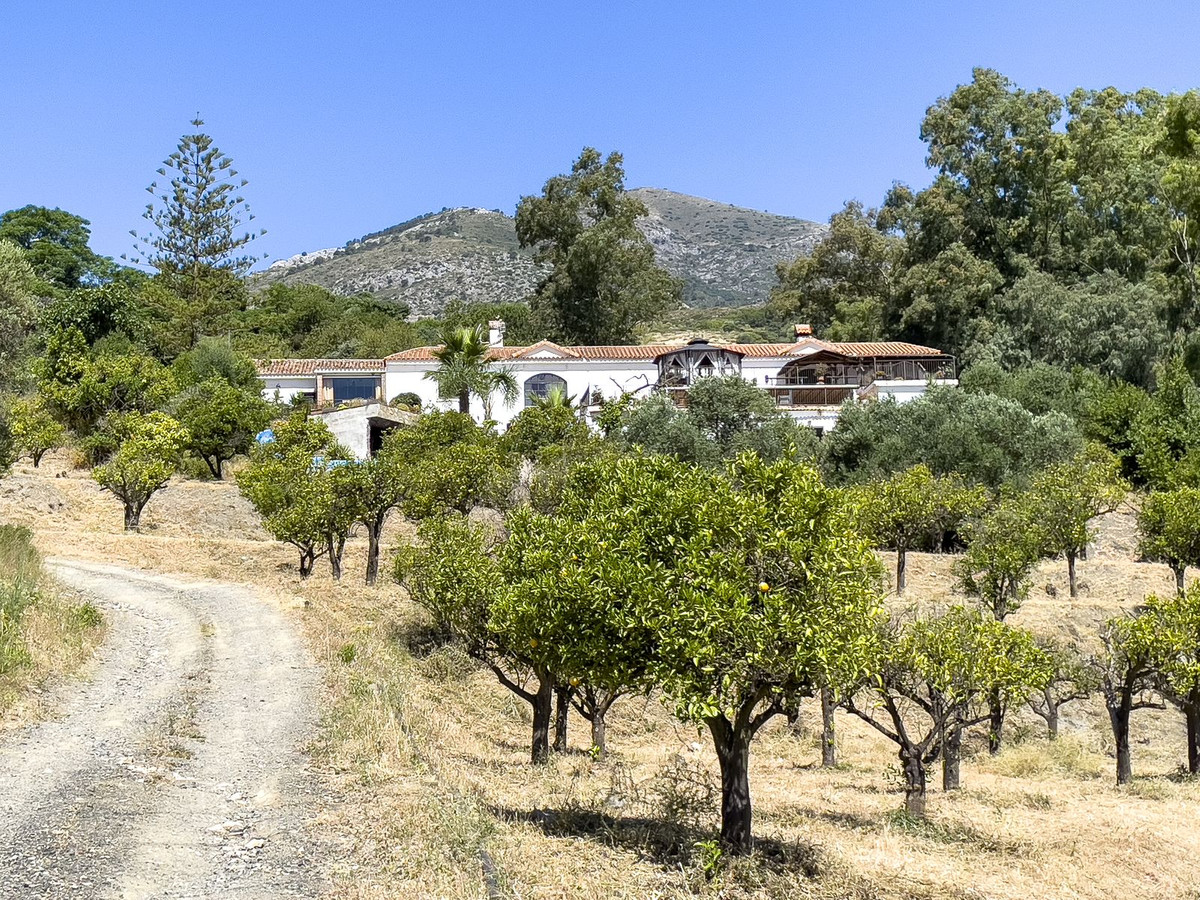 Finca - Cortijo in Casarabonela-50