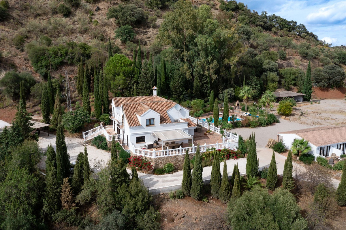 Finca - Cortijo in Casarabonela-55