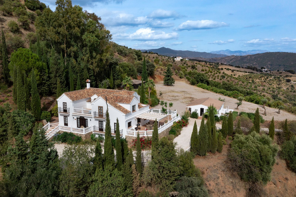 Finca - Cortijo in Casarabonela-60