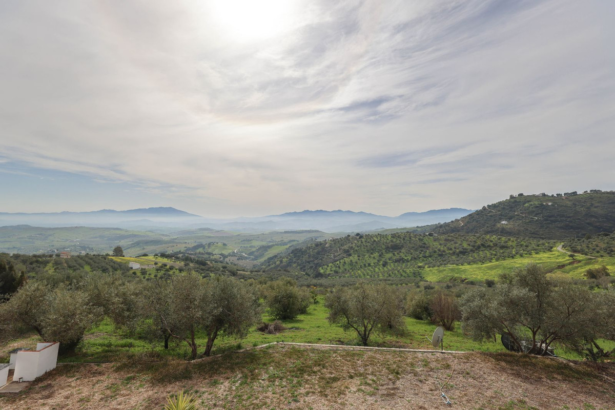 Property main view 26