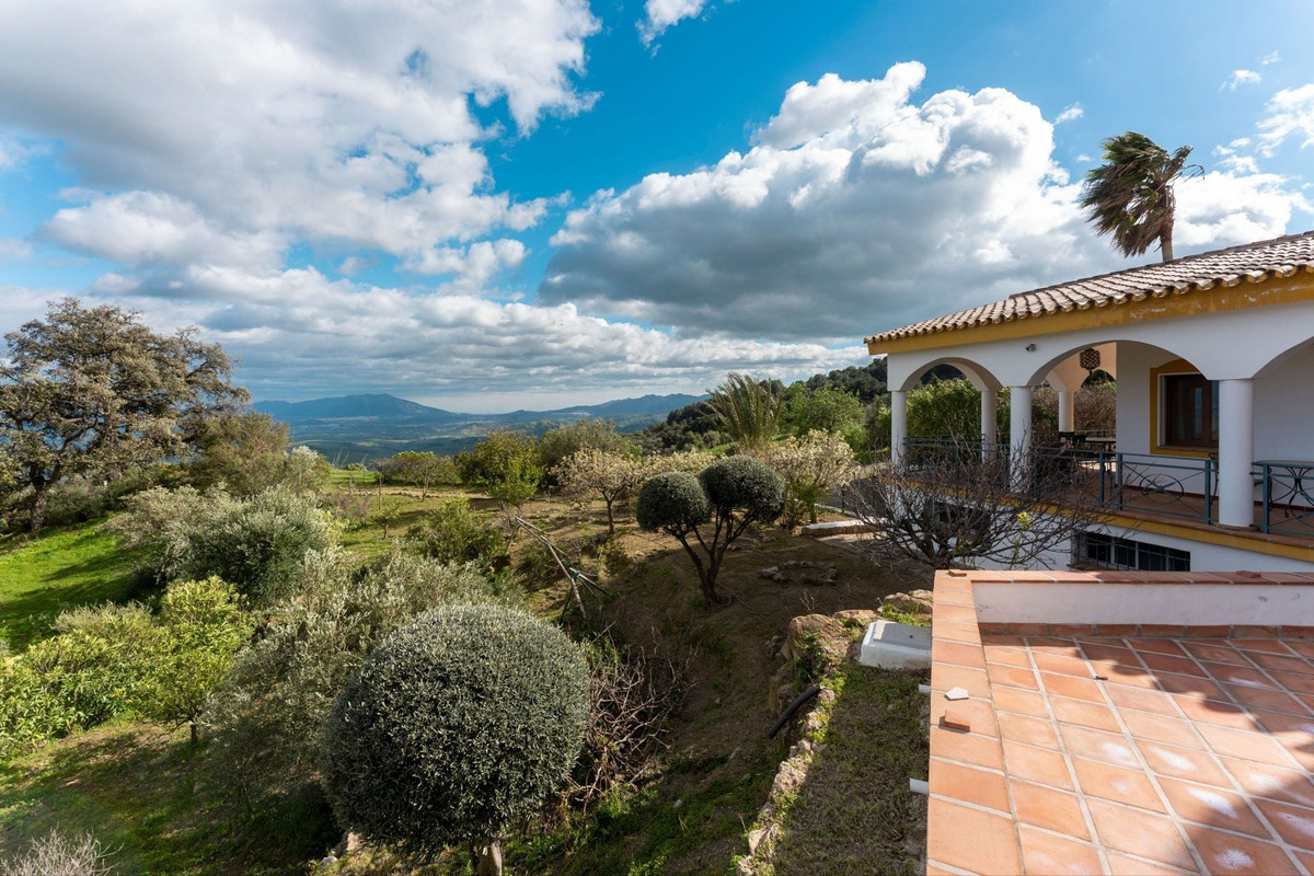 Property main view 45