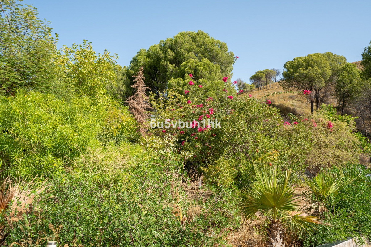 Property main view 26