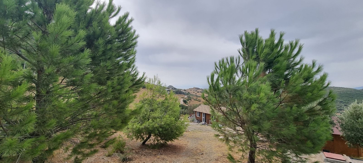 Property main view 10