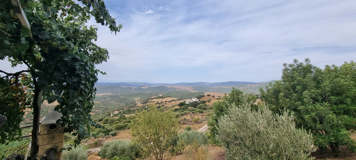 Property main view 17