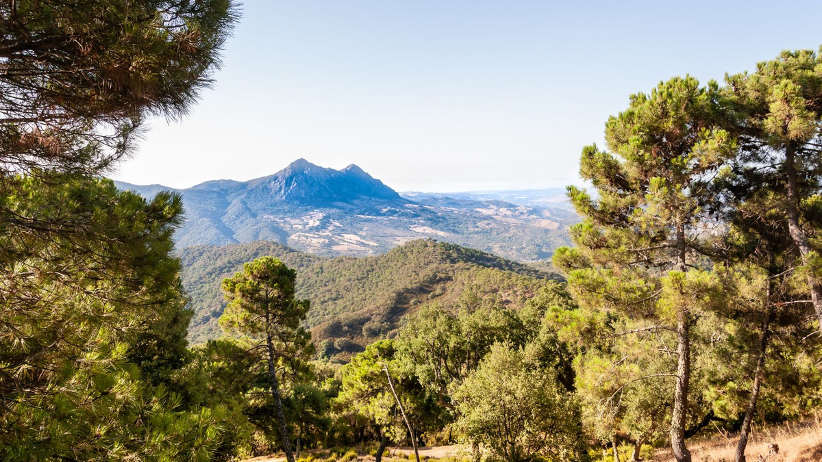 Property main view 15