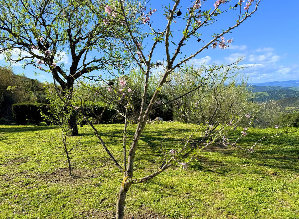 Huis te koop in Casares | 6 slaapkamers H4958020