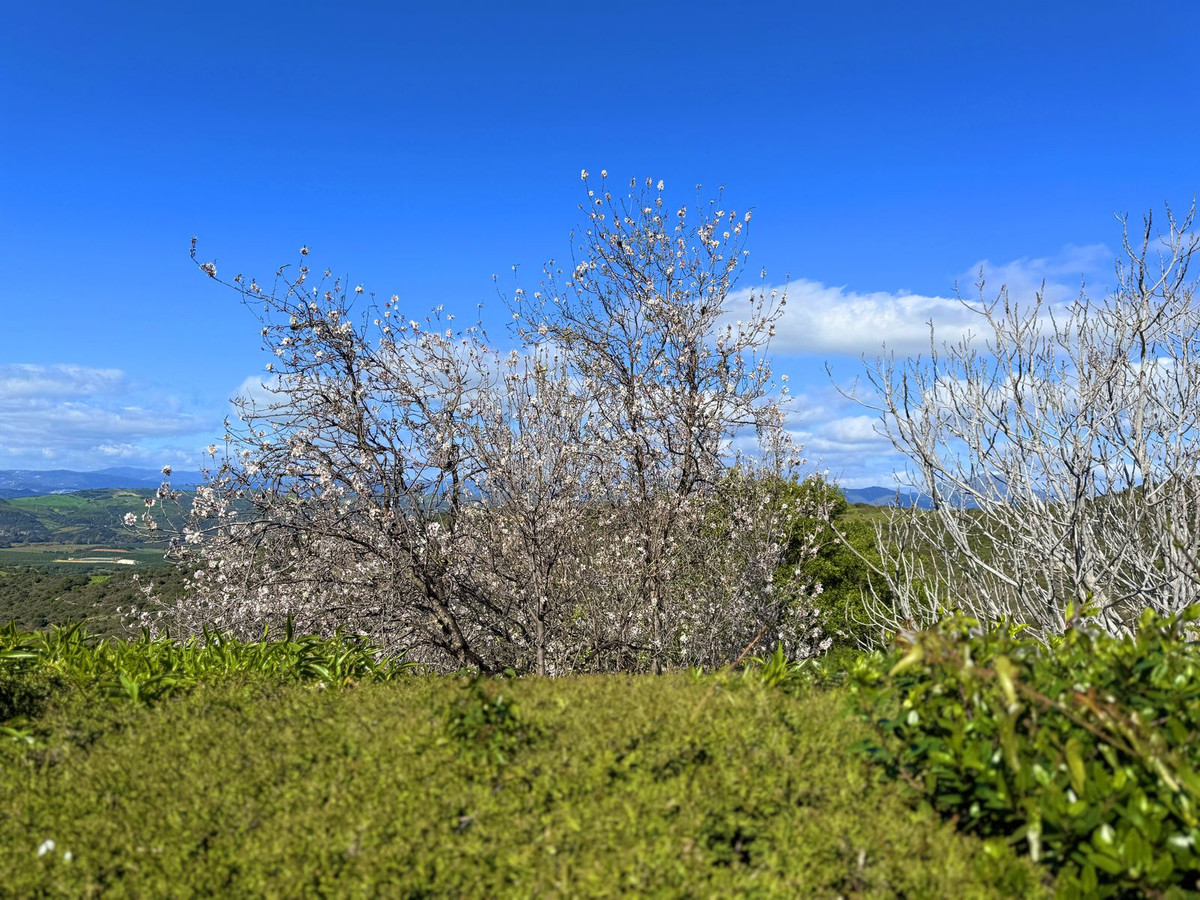 Property main view 71